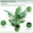 Faux 30" Calathea Plant