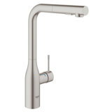 Essence Pull Out Single Handle Kitchen Faucet with Accessories