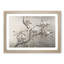 Pear Blossoms by Qian Xuan - Picture Frame Painting Print-55583073-55583076