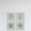 Coral Group Quadrupych - ensemble de 4 reproductions d'art encadrées-27007718