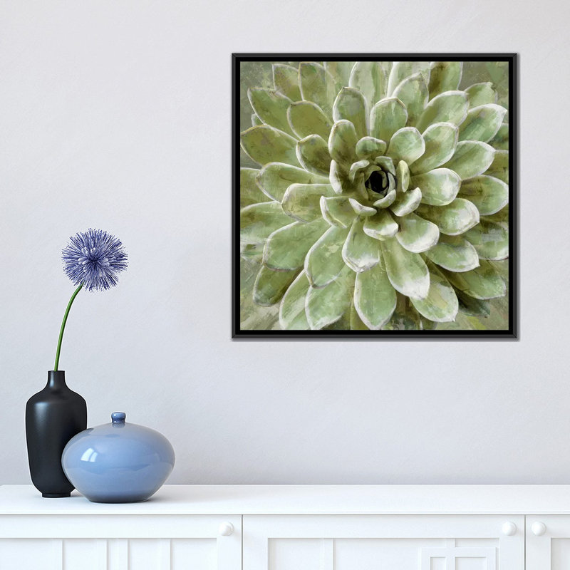 «Succulent VI», impression sur toile, H 18 po x l 18 po x P 1,5 po, Toile avec cadre noir, Pas de tapis