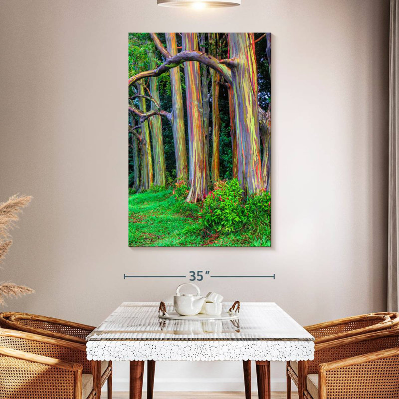 Arbres d'eucalyptus Alvord Maui Rainbow, H 51 po x l 34 po