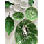 Natura Bowl Medium-1281845379