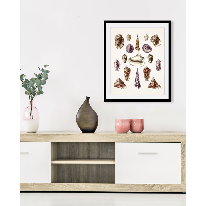 Shell - Single Picture Frame Print