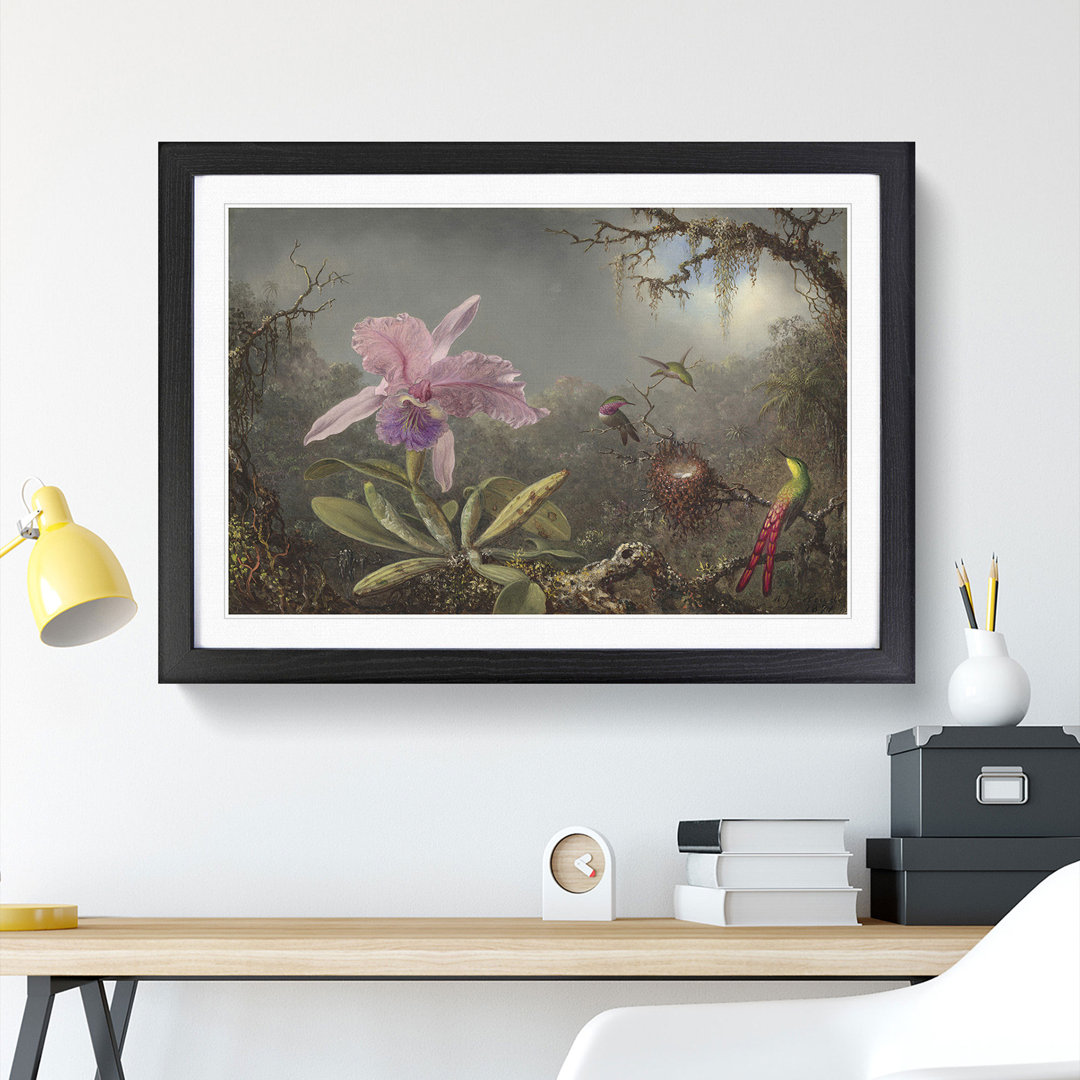 Cattleya Orchid and Hummingbirds by Martin Johnson Heade - Framed Print