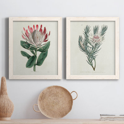 " Protea N13 " 2 - Pieces Painting Print