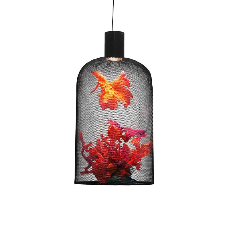 Curio 1 - Light Pendant