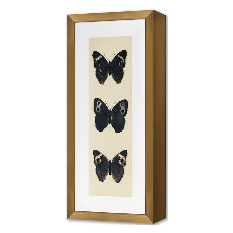 Flutter 5 Print by Todaro, Katie