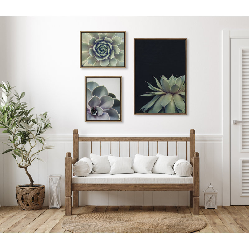 «Succulent 8, Succulent 1 and Succulent 5» par Emiko et Mark Franzen, ensemble de 2 toiles encadrées, Vert / noir / blanc