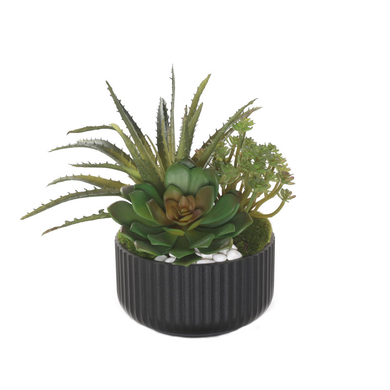 Faux Cactus Succulent in Pot