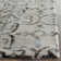 Budde Hand Tufted Wool Geometric Rug