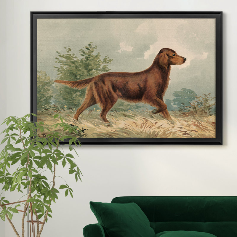 «Irish Setter I», reproduction d'art sur toile encadrée, Cadre noir, H 18,5 po x l 24,5 po x P 1,5 po