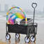 Chariot de plage pliable