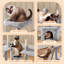 136cm H Cat Tree-664204762