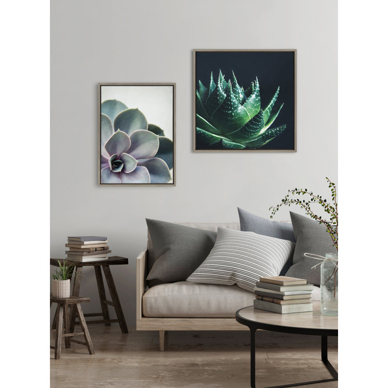 «Succulent 5» par Emiko et Mark Franzen, reproduction d'art sur toile encadrée, H 33 po x l 23 po x P 1,63 po, Cadre gris