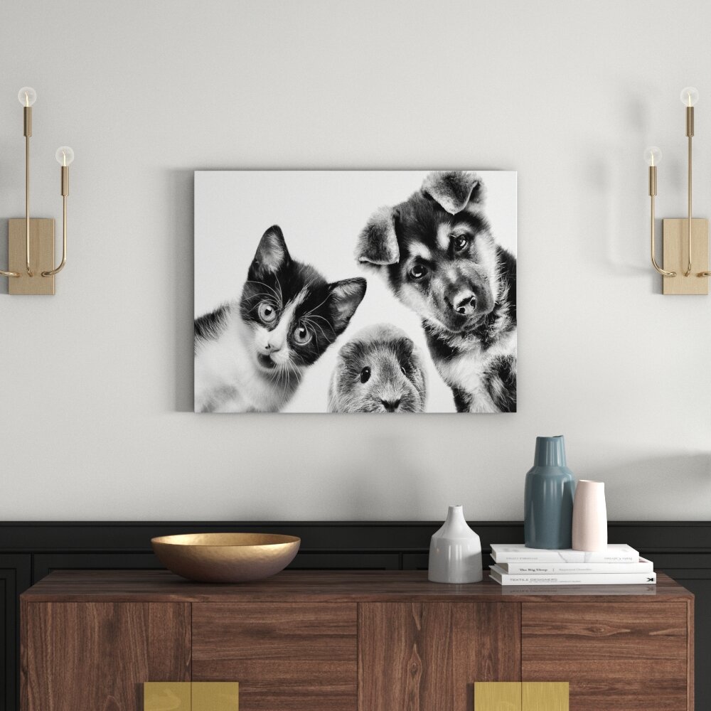 Leinwandbild Lustiges Trio Hund Katze Meerschwein in Monochrom