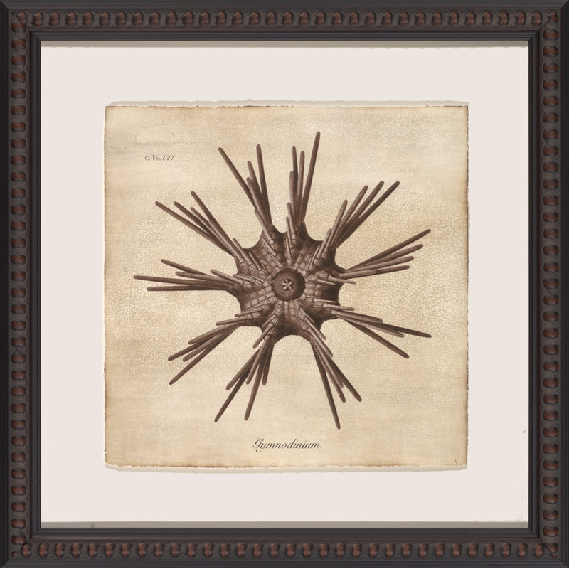 Sepia Sea Collection III Painting