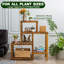 Solid Wood Plant Stand 5 Tier Set of 5
