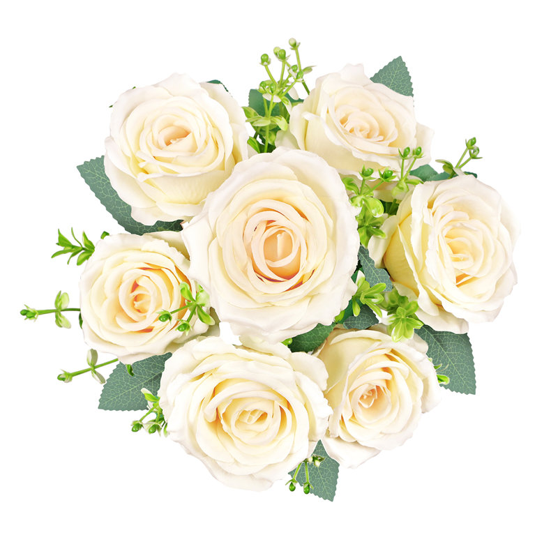 Roses, buissons, Ivoire
