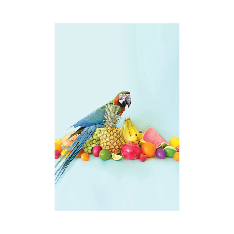 Parrot Portrait by Erin Summer - Print on Canvas, Wrapped Canvas, 45.72cm H x 30.48cm W x 1.91cm D