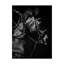 «In Pursuit» par Julie T. Chapman - Impression sur toile-33515812