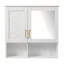 Armoire de toilette murale 2 en 1 avec tablettes réglables et portes à fermeture en douceur pour salles de bain modernes-1746026271