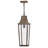 Hinkley Georgetown Hanging Lantern-108493385