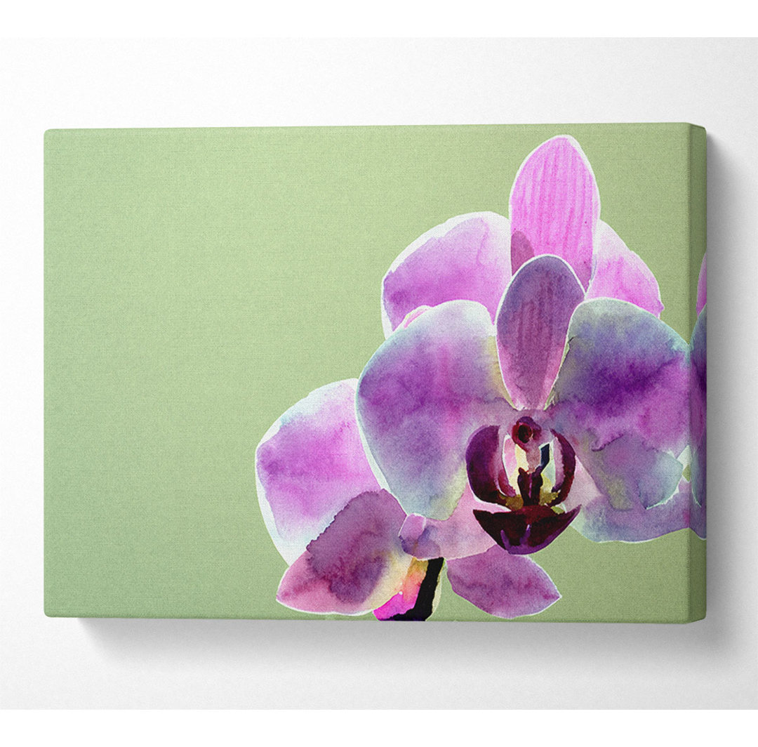 Orchid Pinks - Druck