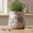 Adairsville Ceramic Planters, 6.68 Inch Vintage Plant Pots With Drainage For Indoor/Outdoor-480227513