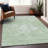 Premium Machine Washable Arnette Mint Rug-1311339563