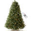 Sapin de Noël Fraser pré-éclairé-91905254