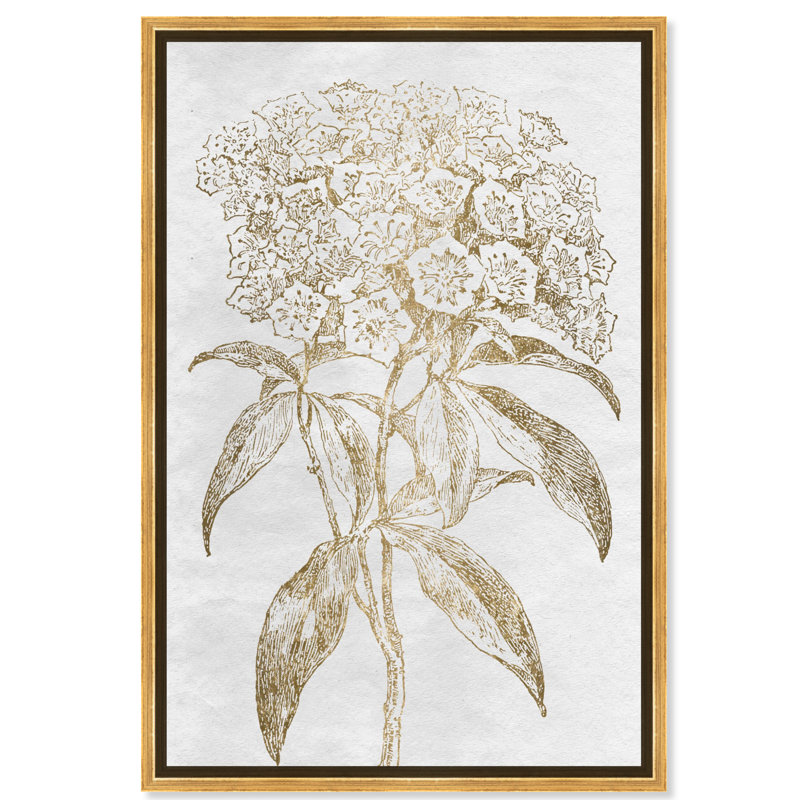Croquis floral - Bordure audacieuse - impression, H 36 po x l 24 po, Encadrement doré