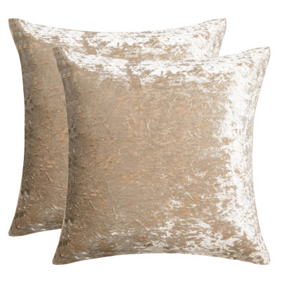  Velvet Throw Pillow
