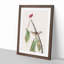 Louisiana Water Thrush by John Audubon - Picture Frame Painting Print-55577426-55577425