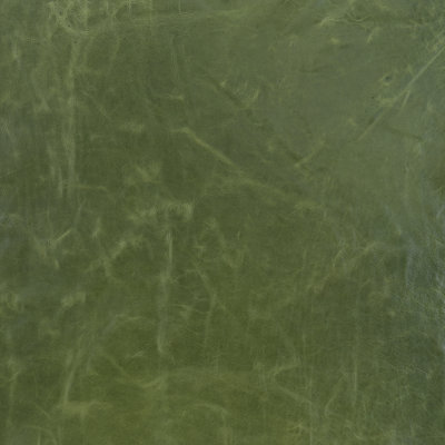 Cortina Green Apple Sample
