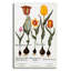  «Tulips» par Art Licensing Studio, art mural en verre acrylique, 12 po x 16 po