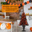 3.94' H Lighted Artificial Pine Christmas Tree