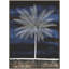 Nocturnal Palms 1 Print-82089316