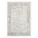 Edson Oriental Indoor Rug