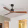 Nicola 60" 3 - Blade Standard Ceiling Fan with Remote Control
