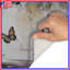 Tapis de bain Butterflies In Nature-397982623