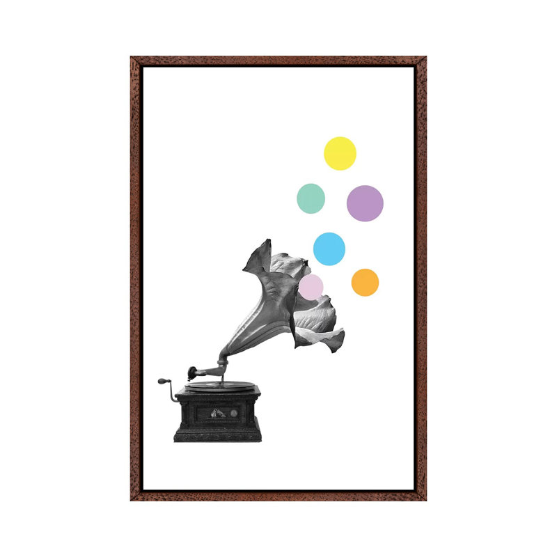Gramoflower by Kiki C Landon - Print on Canvas, 66.04cm H x 45.72cm W x 3.81cm D, Classic Brown Wood Framed