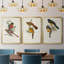 Toile encadrée de qualité supérieure Elegant Trogons I - prête à être accrochée-69981905-69981904