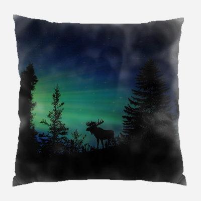 Canvas Outdoor Reversible Throw Pillow