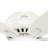 Newsome 42" 5 - Blade Traditional Flush Mount Indoor Ceiling Fan with Lights and Pull Chains-56004766