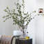 Smooth Table Lamp
