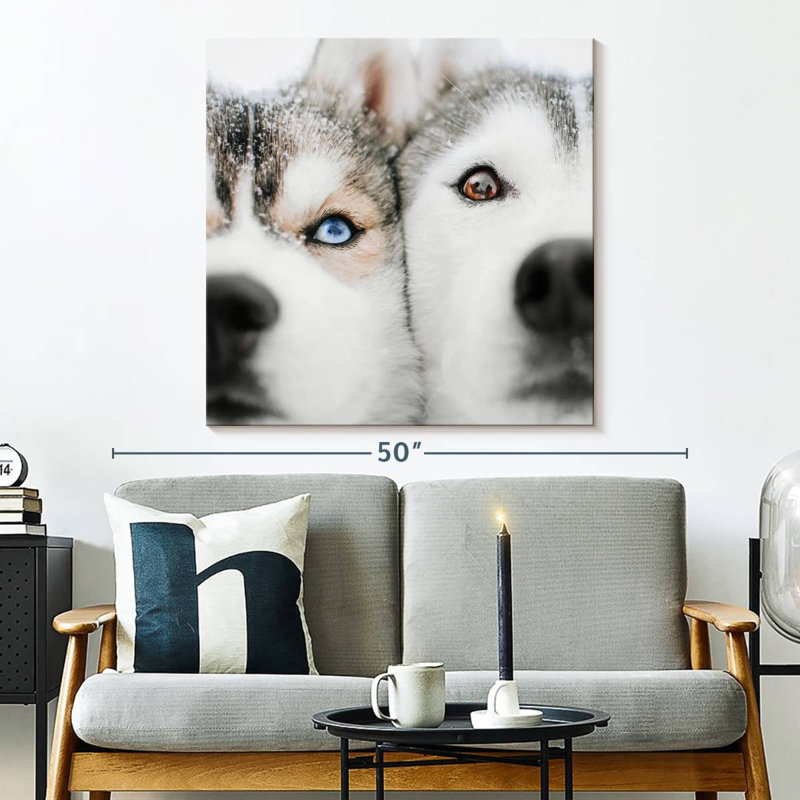 Crowle Husky Faces, 33" H x 33" W