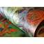 Tropical Collection Bora Bora Coral Inspired 27.8' L x 27.5" W Wallpaper Roll-73447859