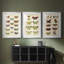 Histoire Naturelle Butterflies I - Impression personnalisée de qualité supérieure avec passe-partout - 3 pièces-1308418110-1308418097