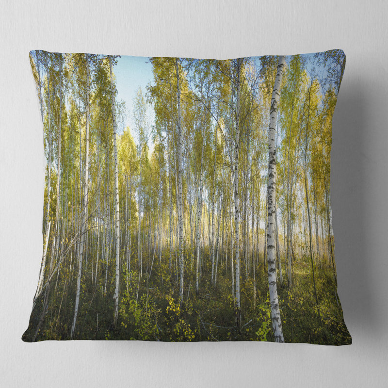 Coussin Schafer, 16 po x 1 po, Coussin décoratif